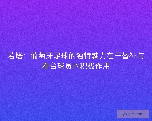 若塔：葡萄牙足球的独特魅力在于替补与看台球员的积极作用
