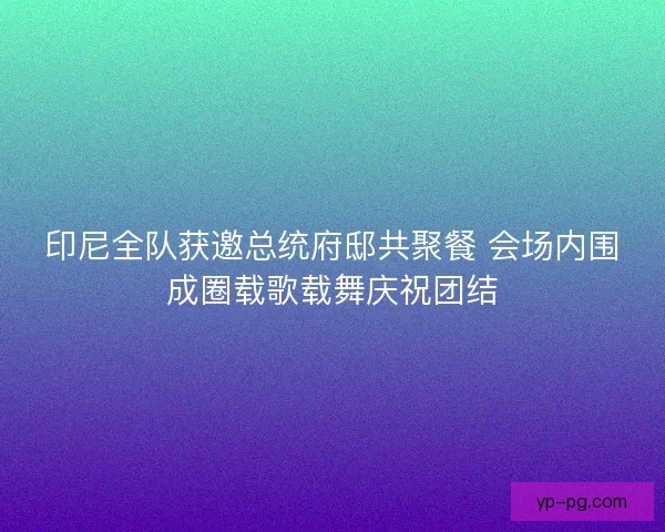 印尼全队获邀总统府邸共聚餐 会场内围成圈载歌载舞庆祝团结 印尼全队获邀总统府邸共聚餐 会场内围成圈载歌载舞庆祝团结